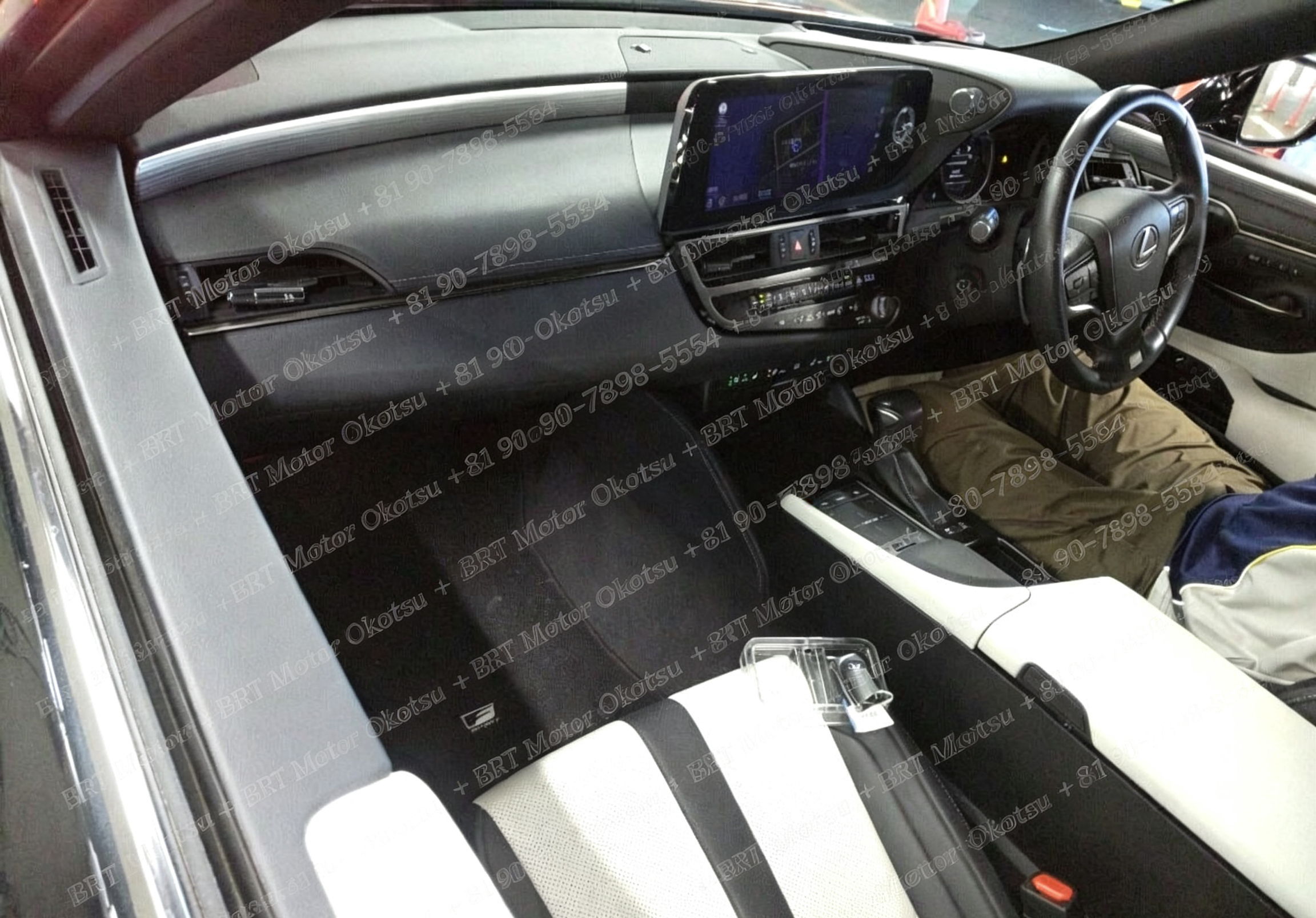 2022 LEXUS ES300H