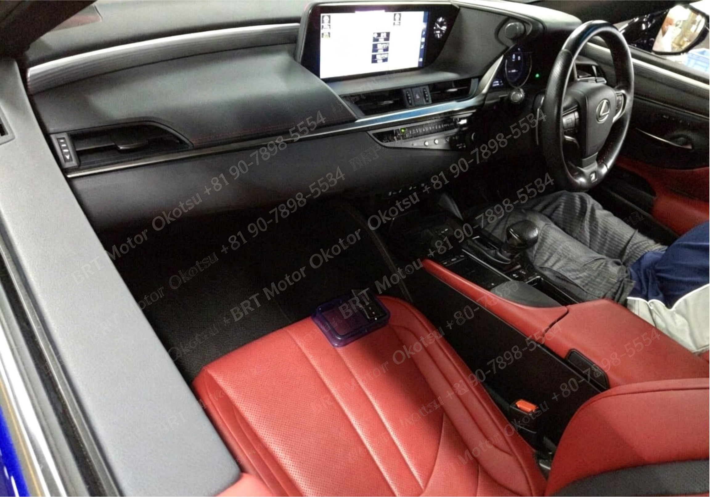 2019 LEXUS ES300H