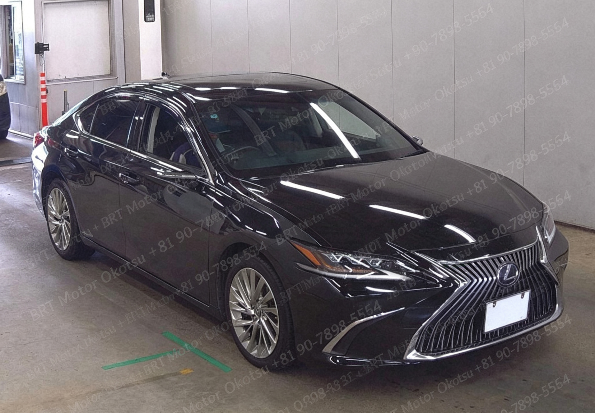 2019 LEXUS ES300H