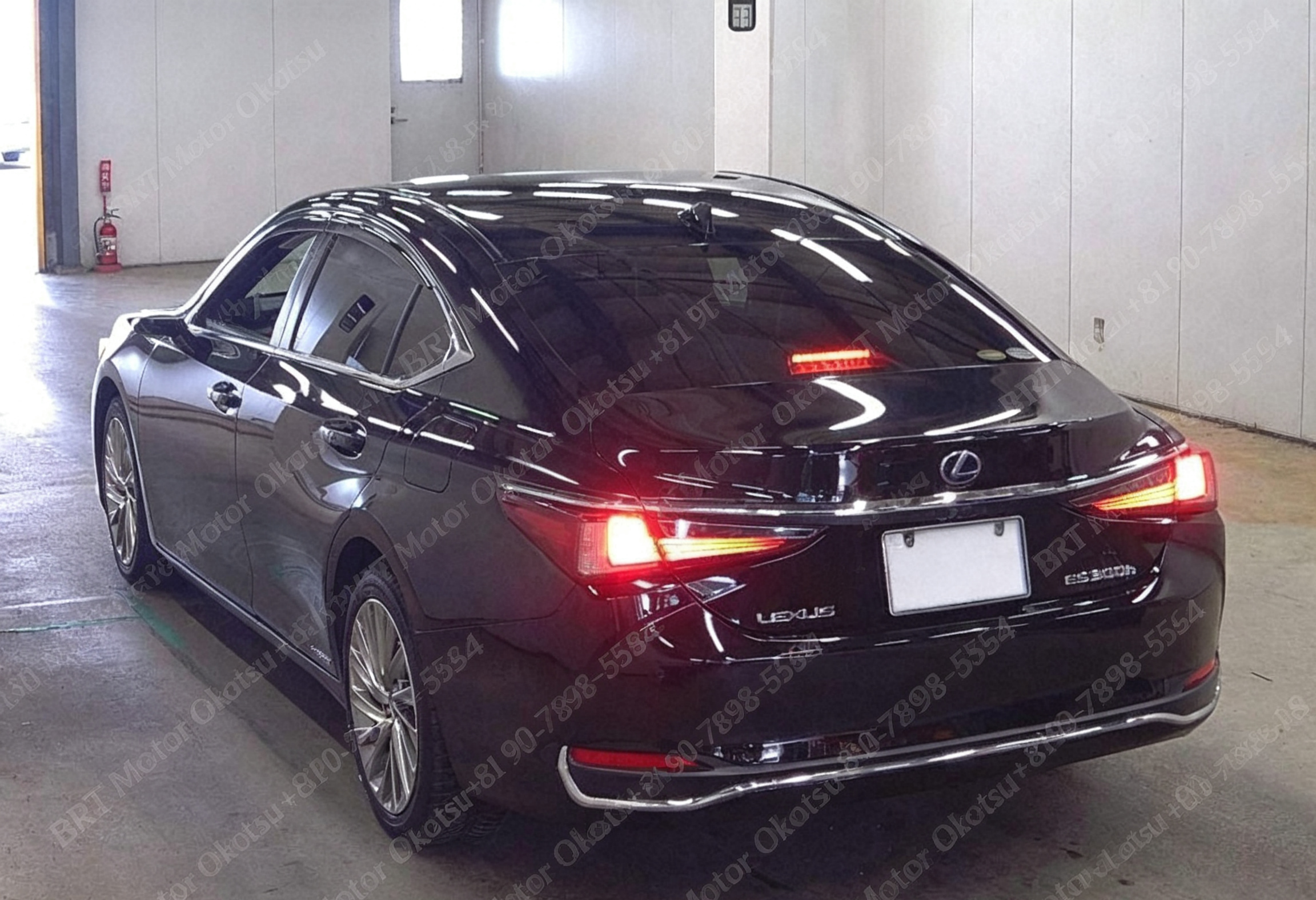 2019 LEXUS ES300H