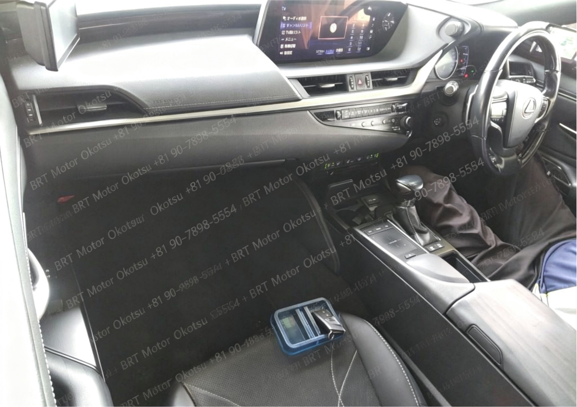 2019 LEXUS ES300H